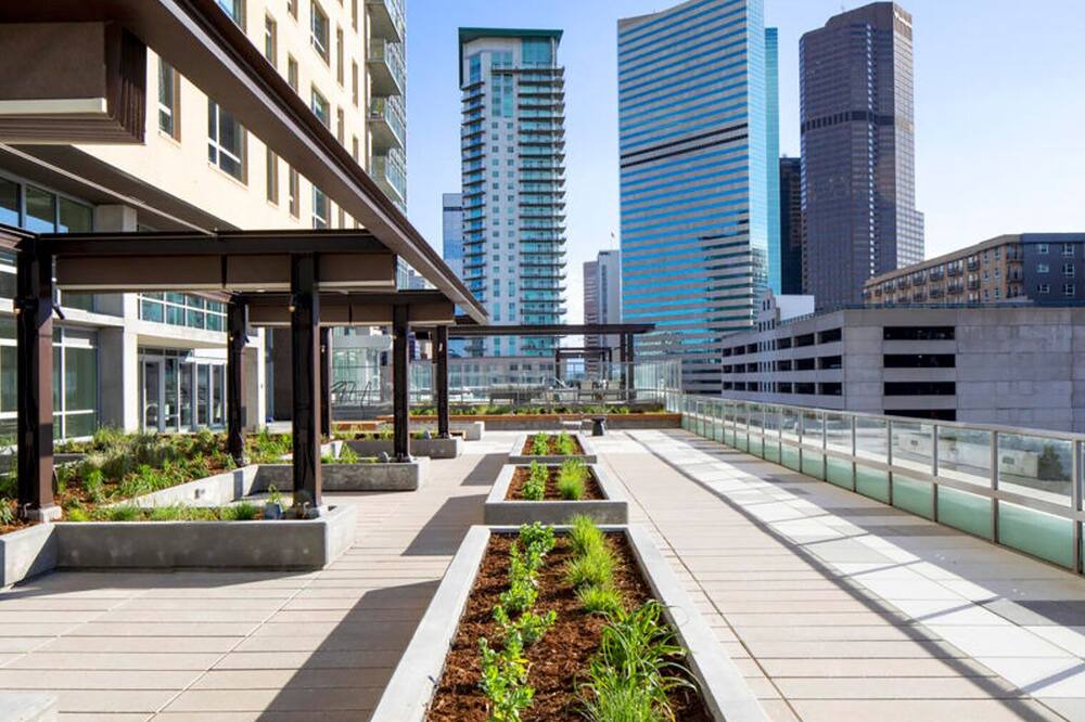 Photo of Outdoor in Five Points