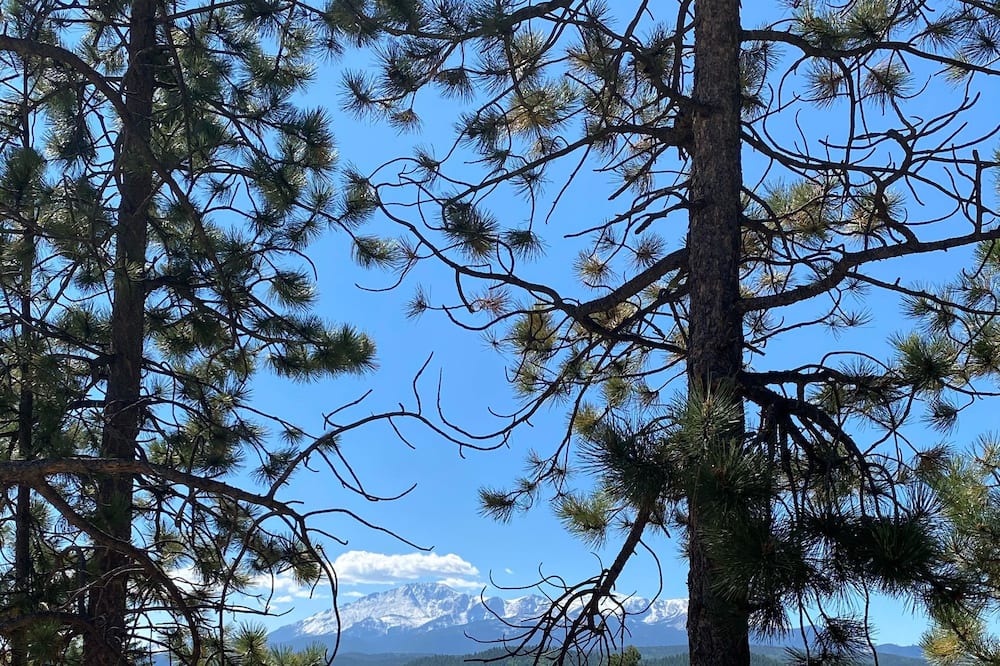 Photo of Outdoor in Woodland Park
