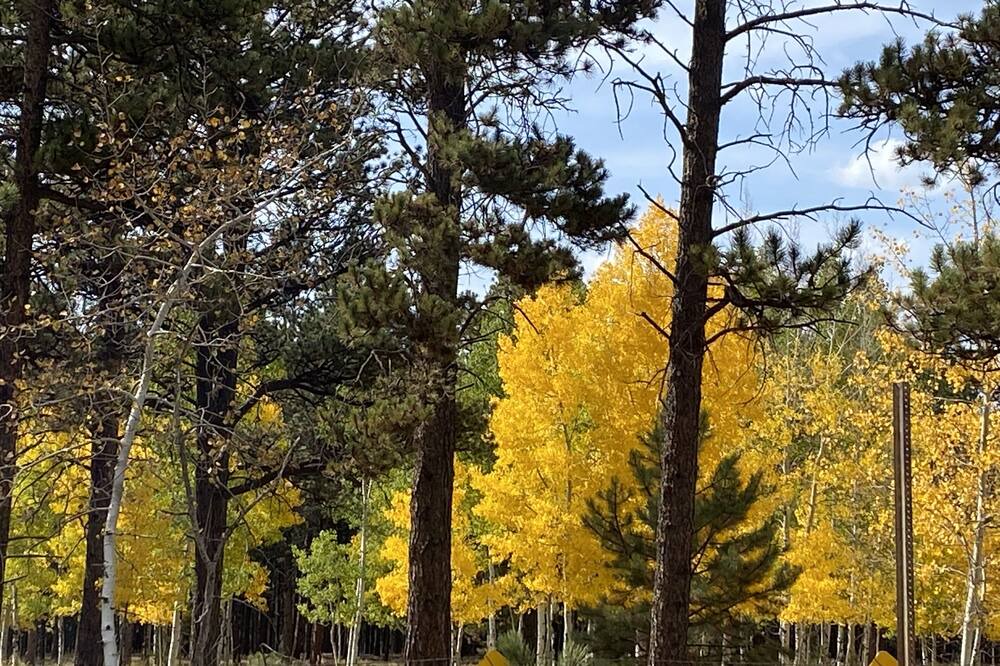 Photo of Outdoor in Woodland Park