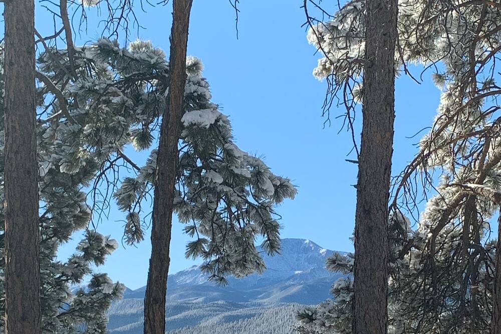 Photo of Others in Woodland Park