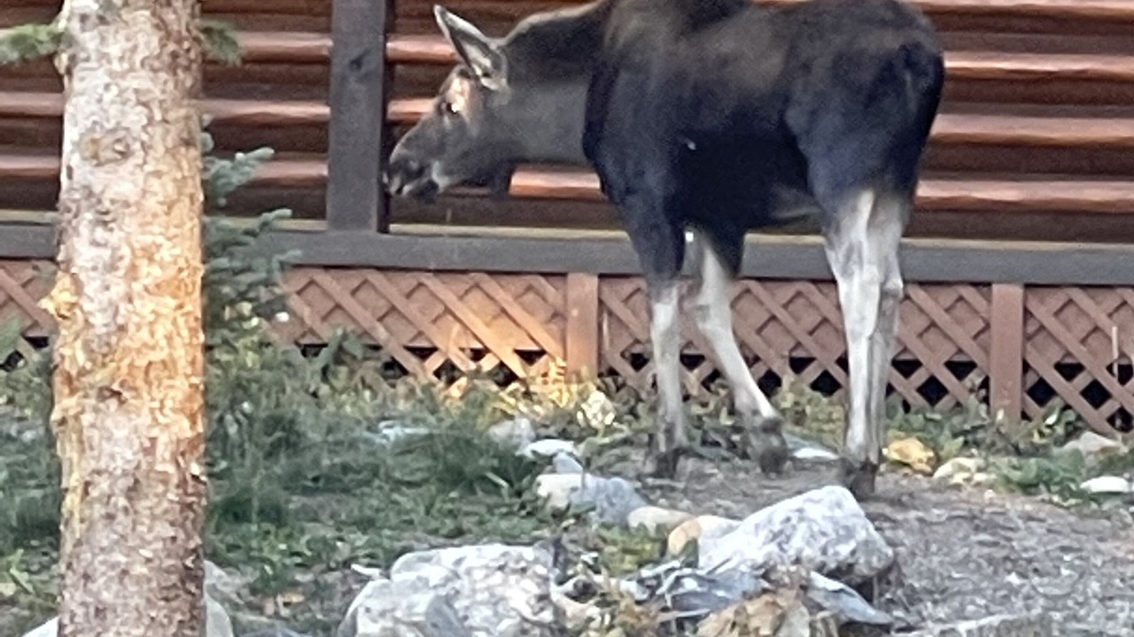 Photo of Outdoor in Quandary Village