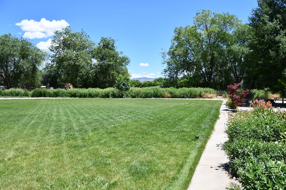 Photo of Outdoor in Clifton