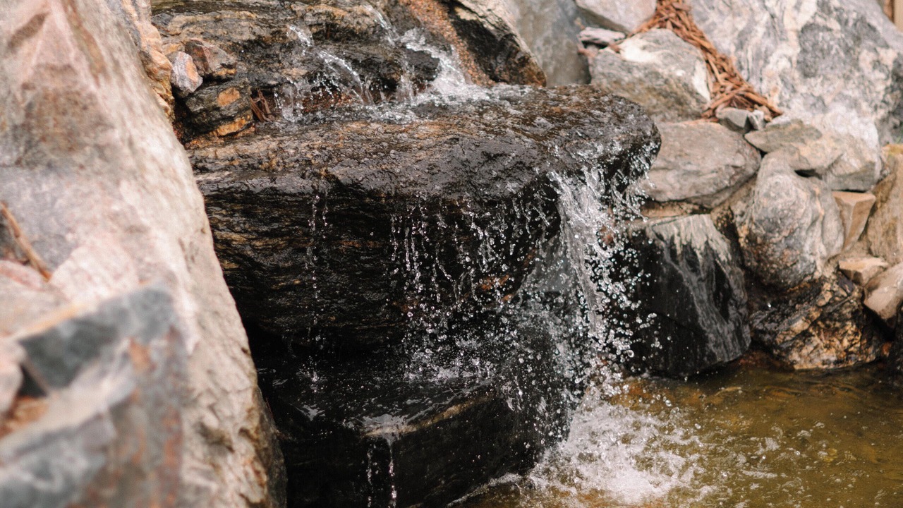 Photo of Outdoor in North Central Evergreen
