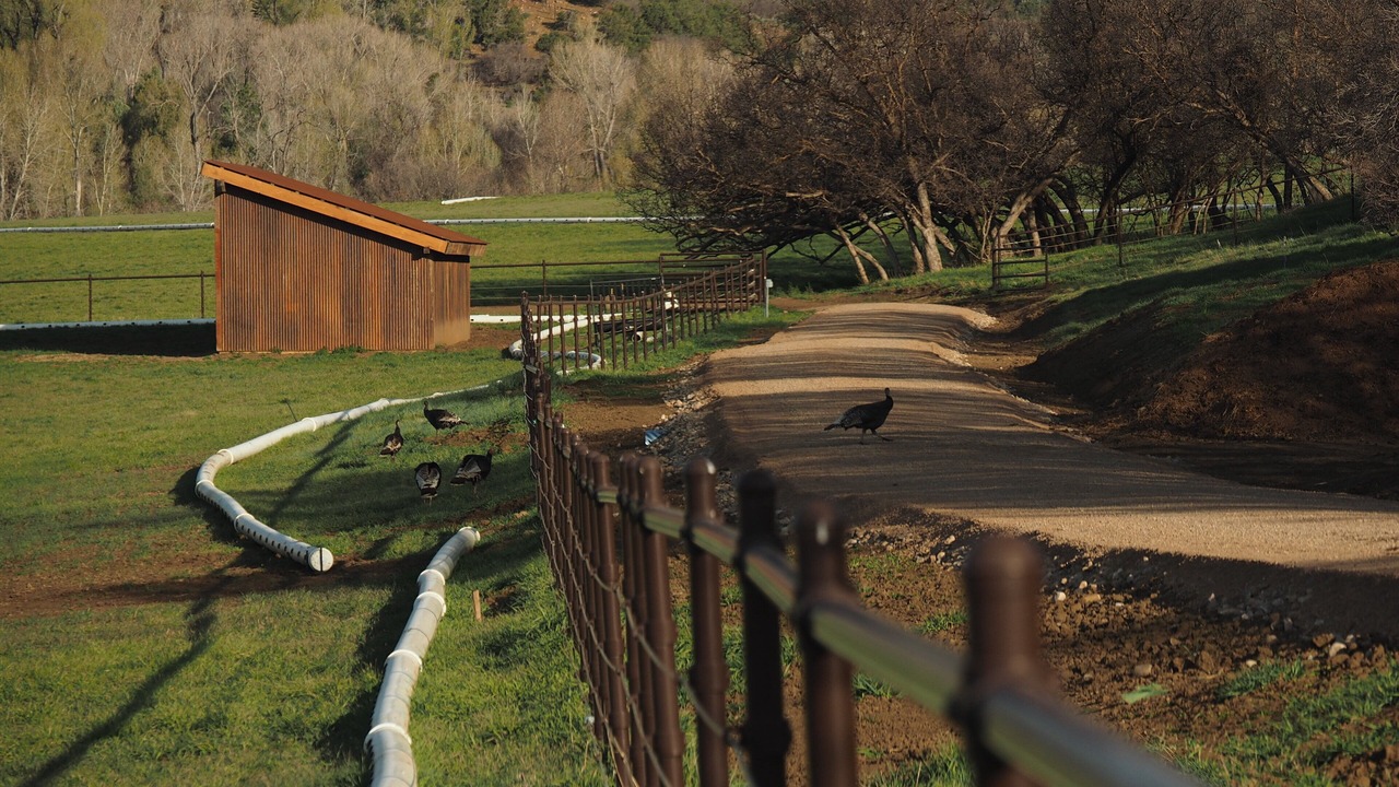 Photo of Outdoor in Durango - Purgatory