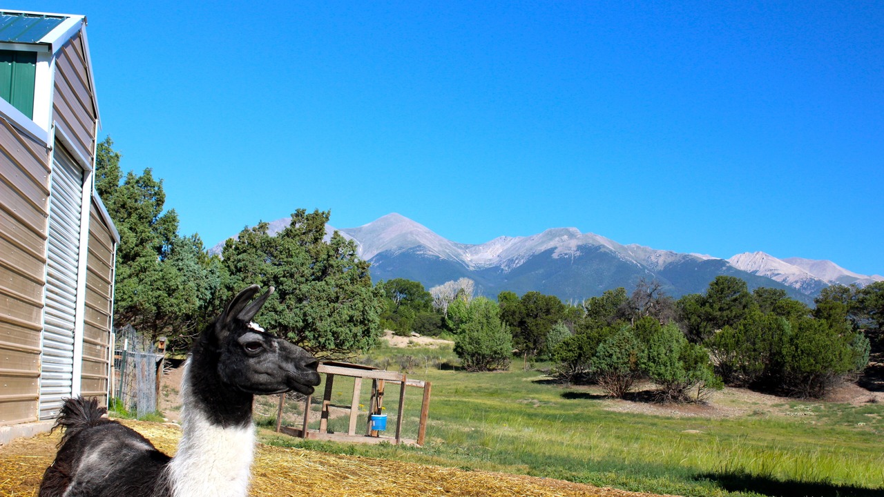 Photo of Outdoor in Salida