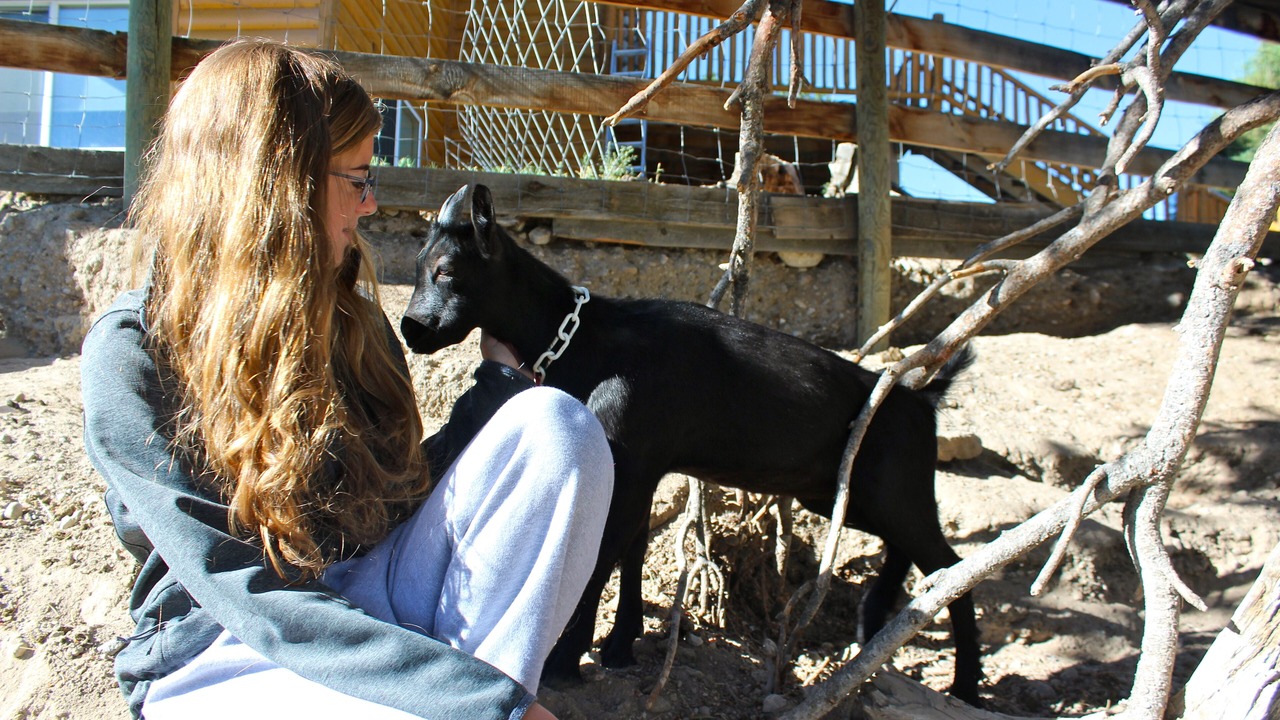 Photo of Others in Salida