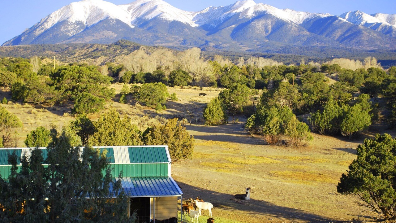 Photo of Outdoor in Salida