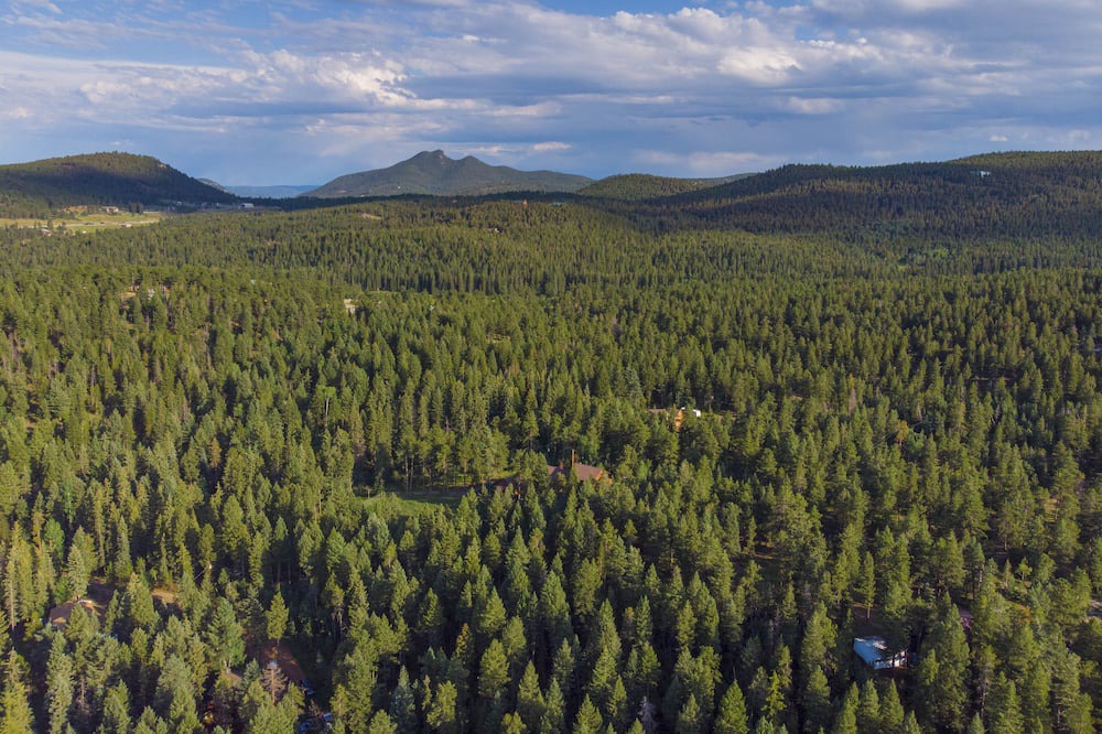 Photo of Outdoor in Shadow Mountain