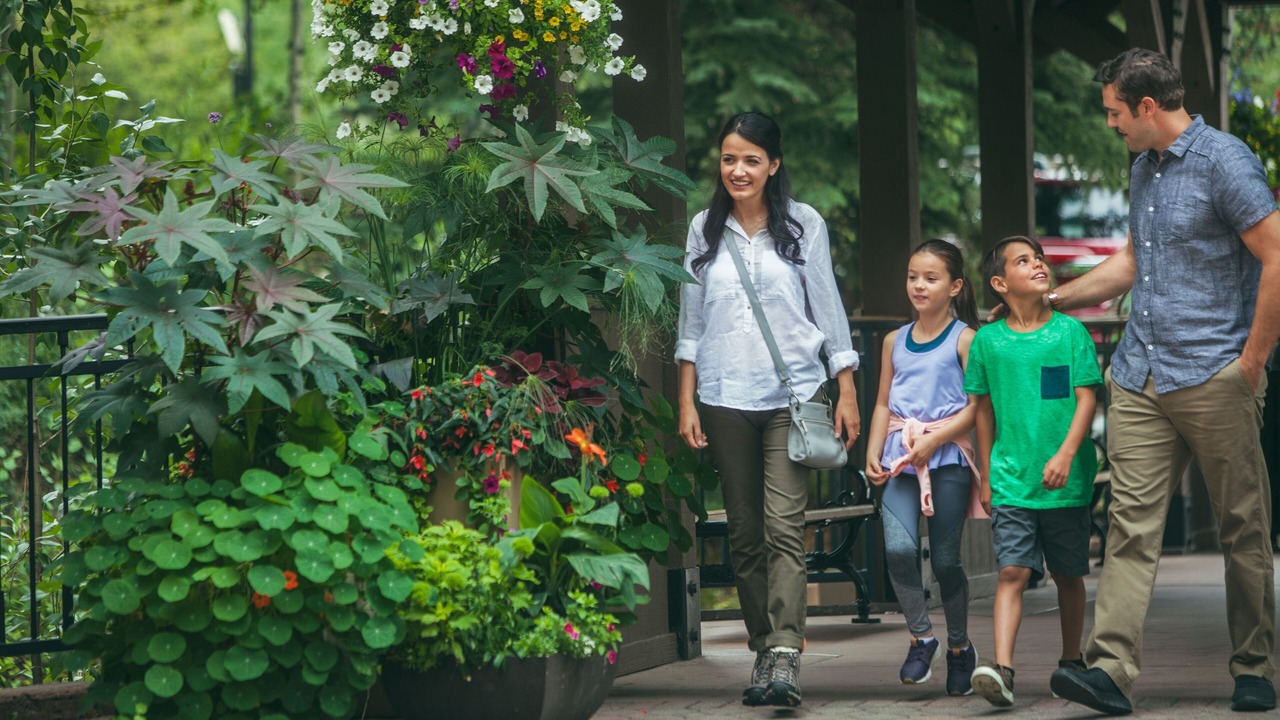 Photo of Outdoor in Beaver Creek