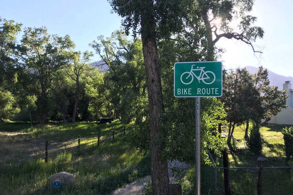 Photo of Others in Buena Vista