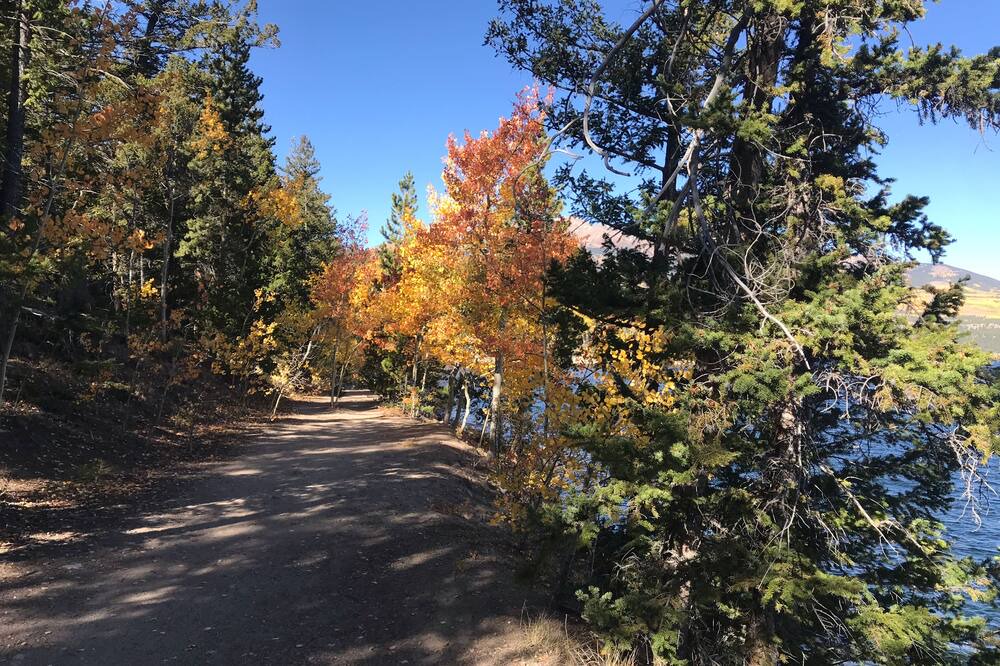 Photo of Others in Buena Vista