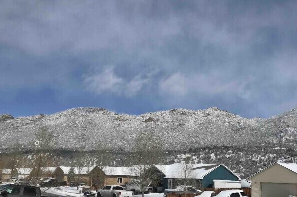 Photo of Outdoor in Buena Vista