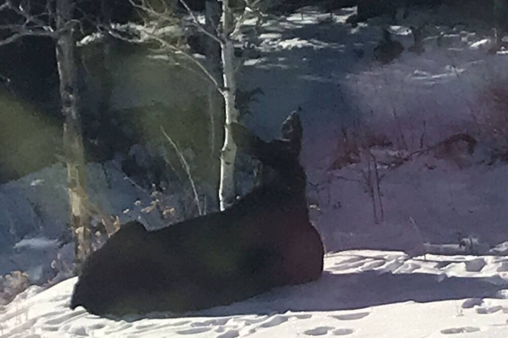 Photo of Others in Kremmling