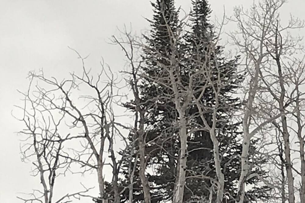 Photo of Others in Kremmling