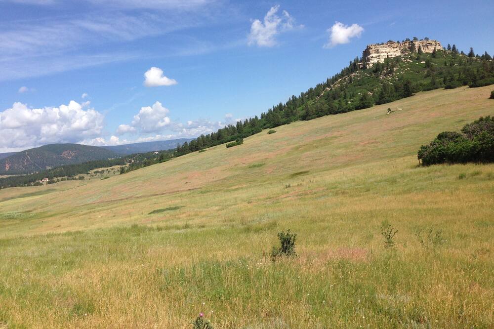 Photo of Others in Larkspur