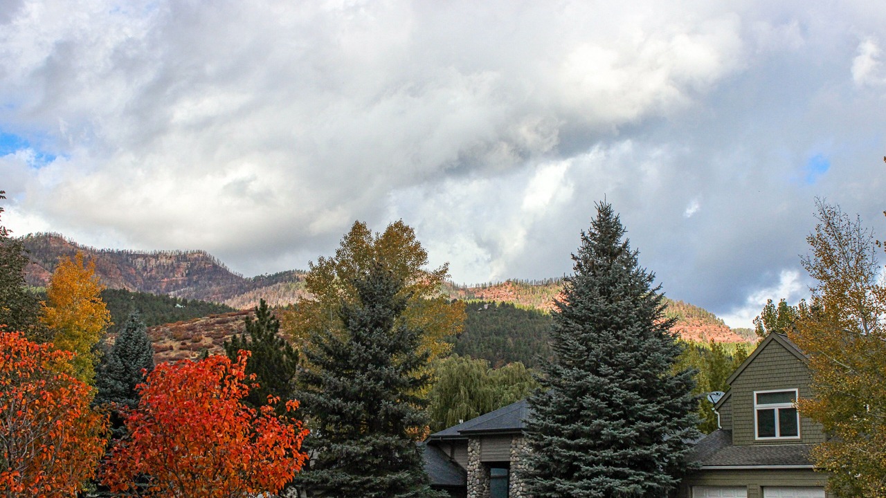 Photo of Others in Dalton Ranch