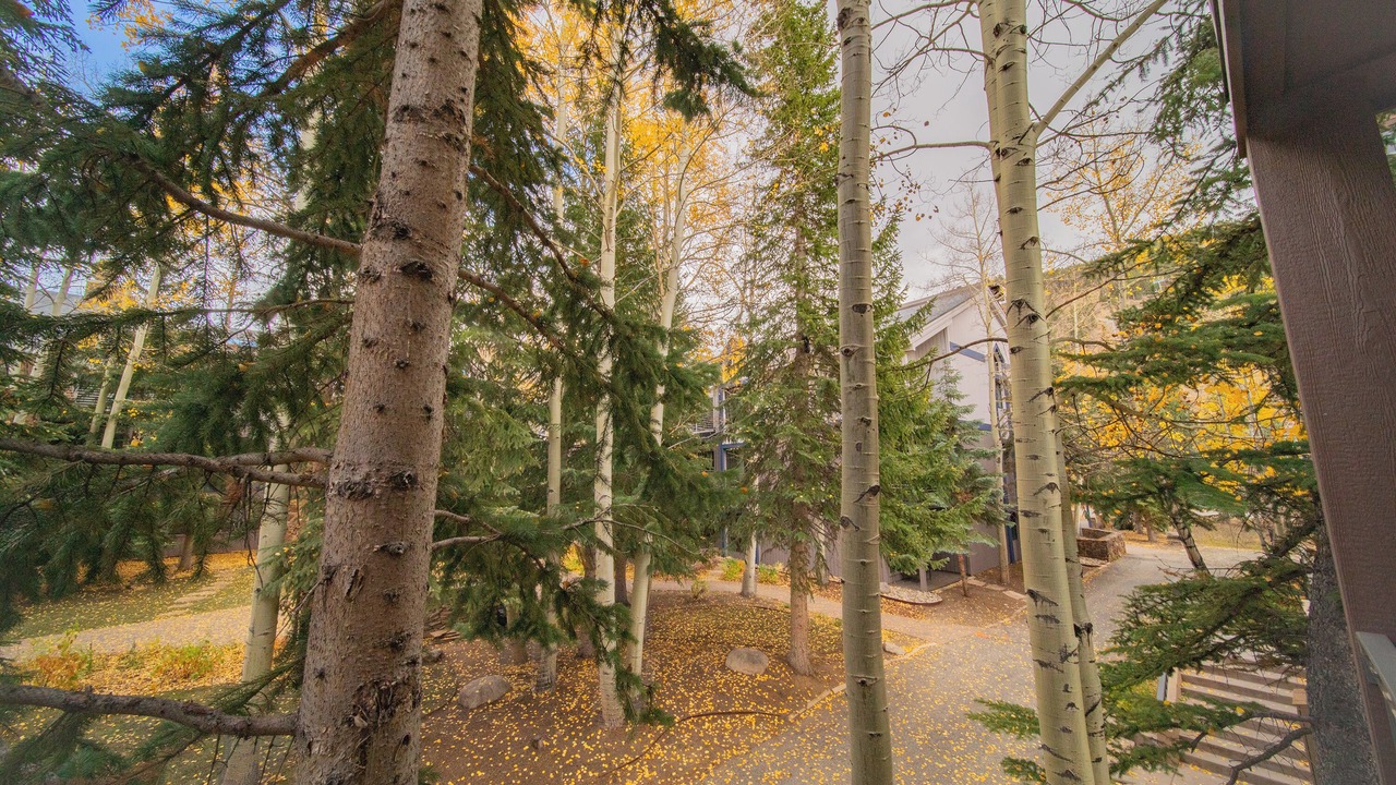 Photo of Outdoor in Mountain House