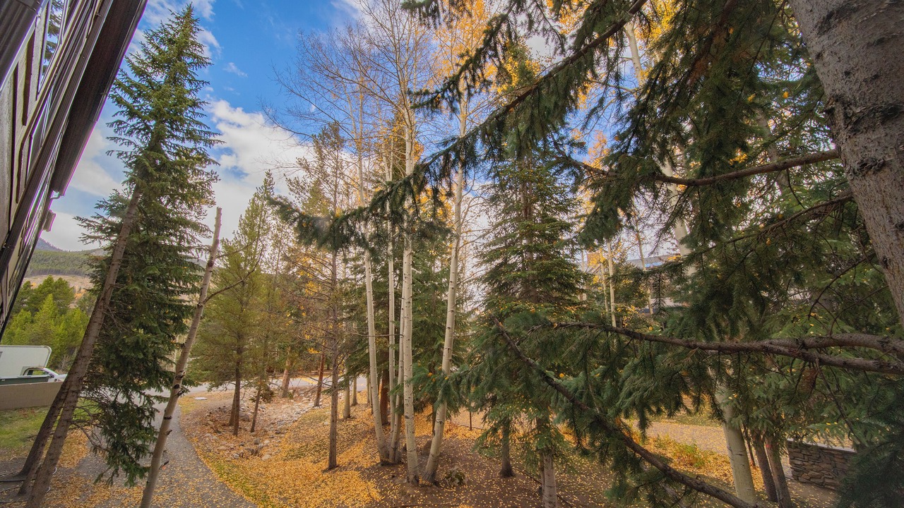 Photo of Outdoor in Mountain House