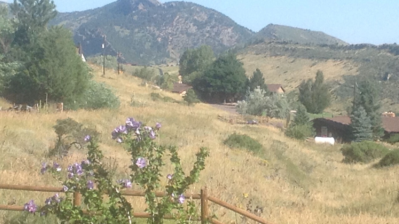 Photo of Outdoor in Golden