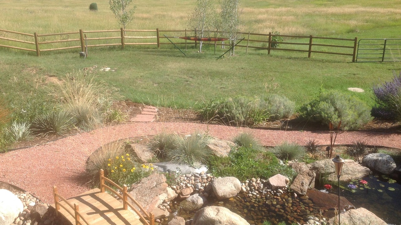 Photo of Outdoor in Golden