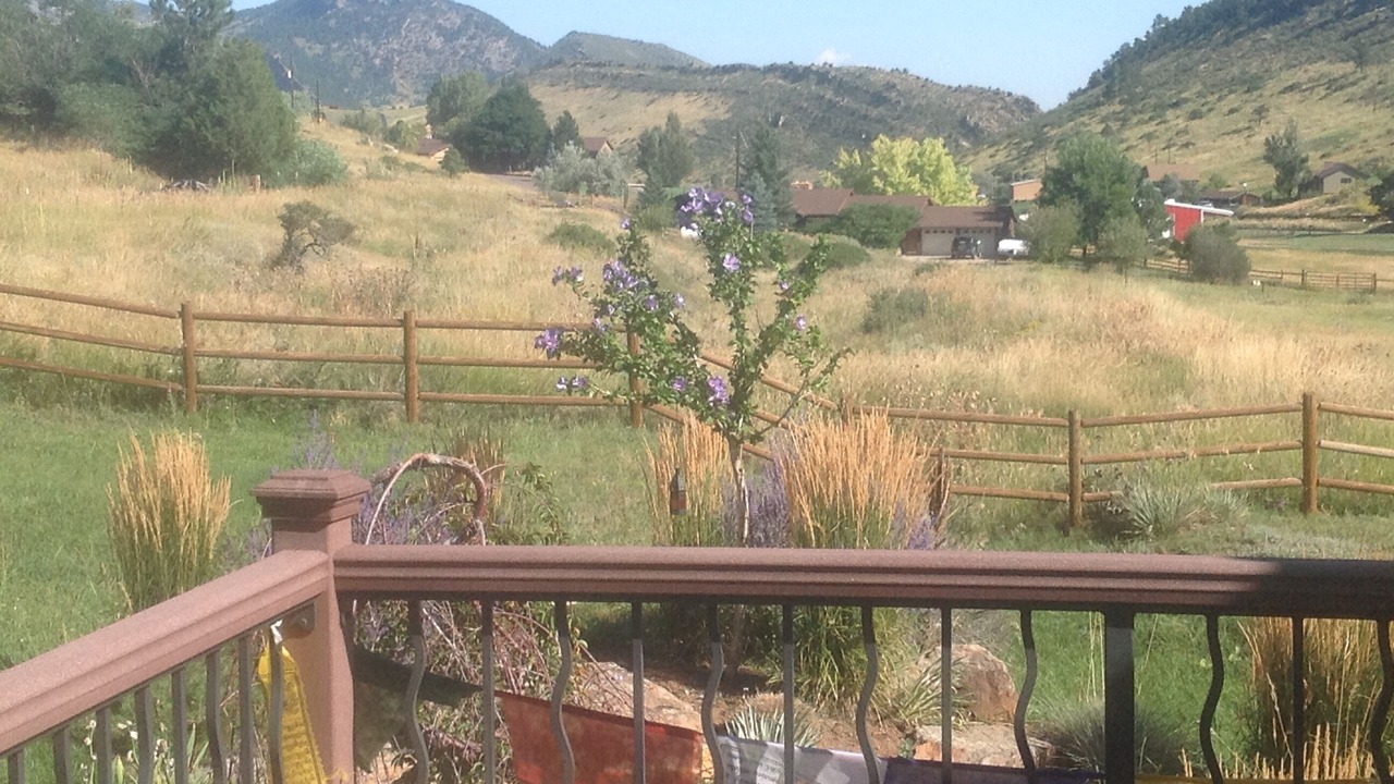 Photo of Outdoor in Golden