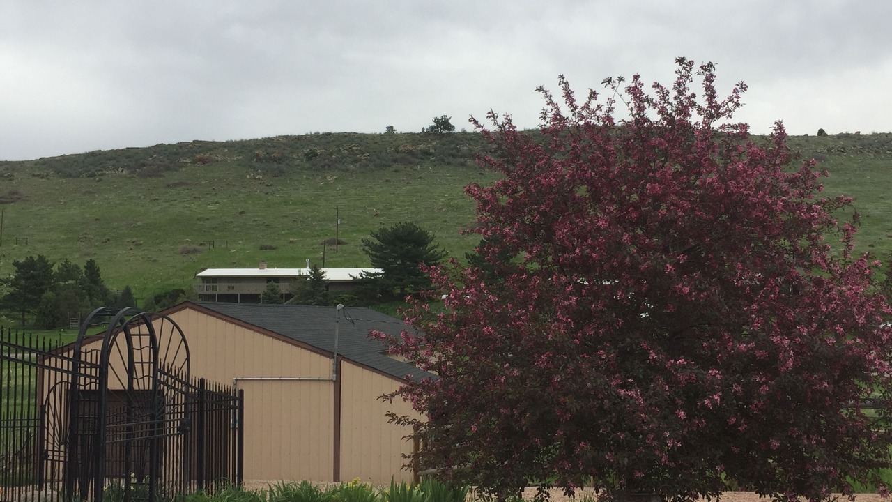 Photo of Outdoor in Golden