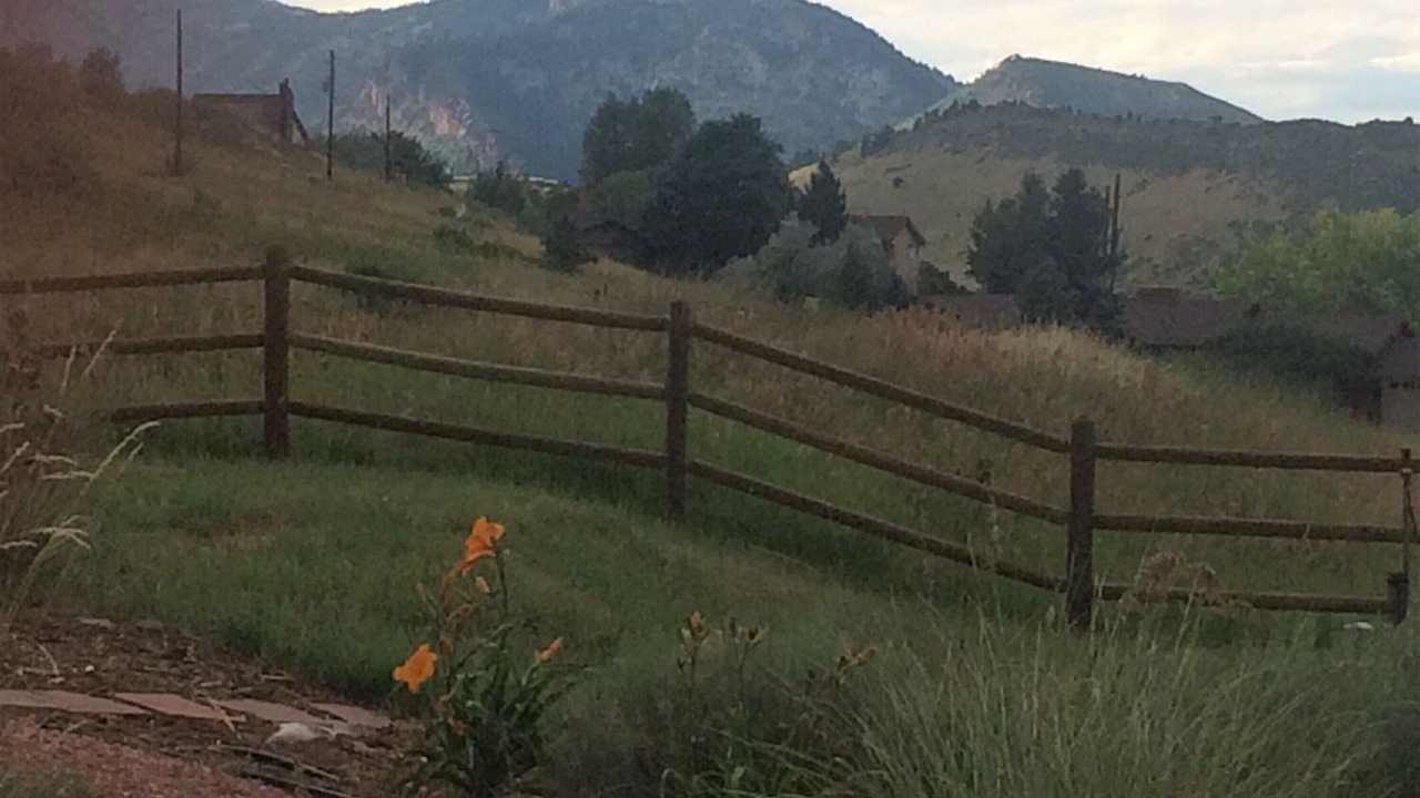Photo of Outdoor in Golden