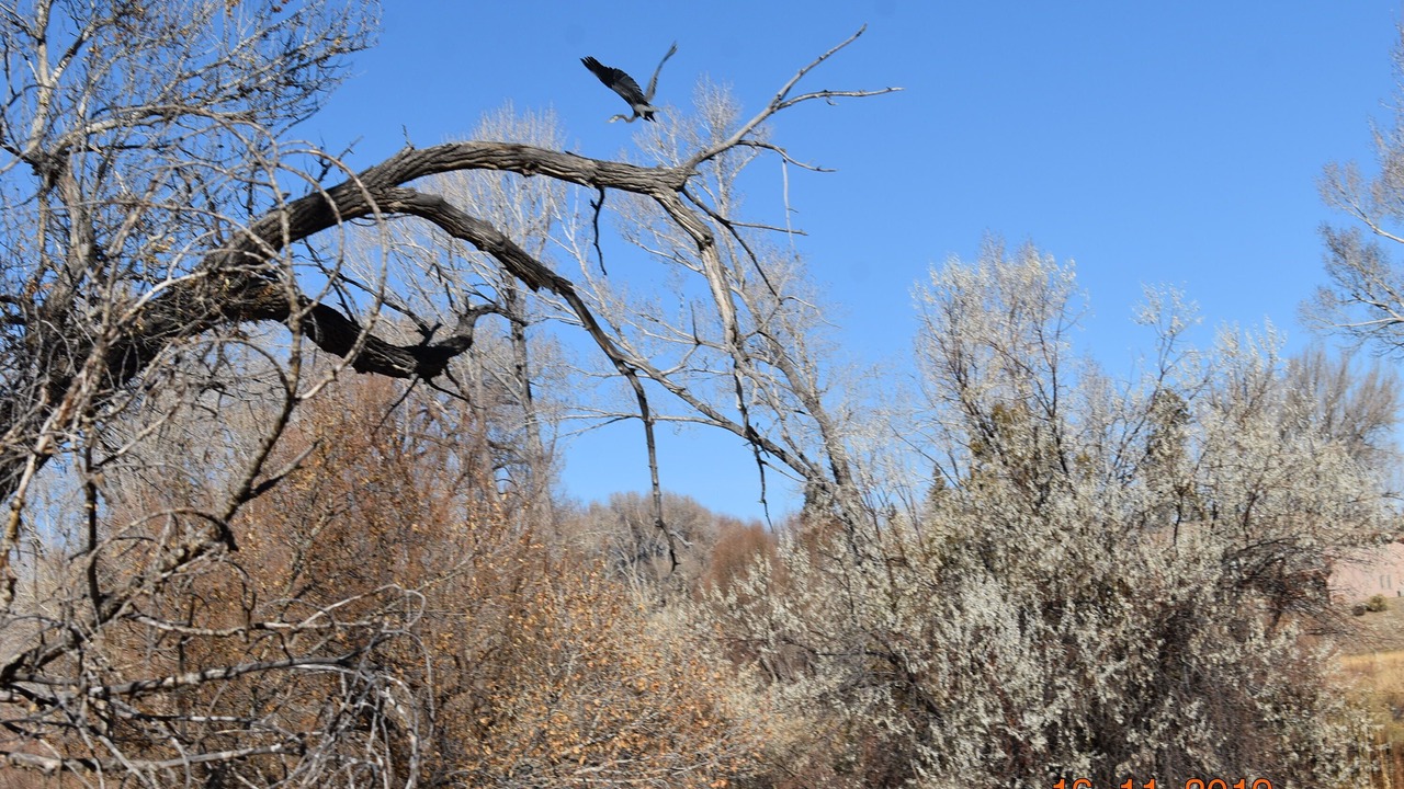 Photo of Others in Salida