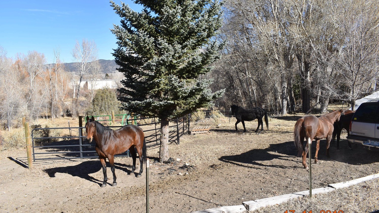 Photo of Outdoor in Salida