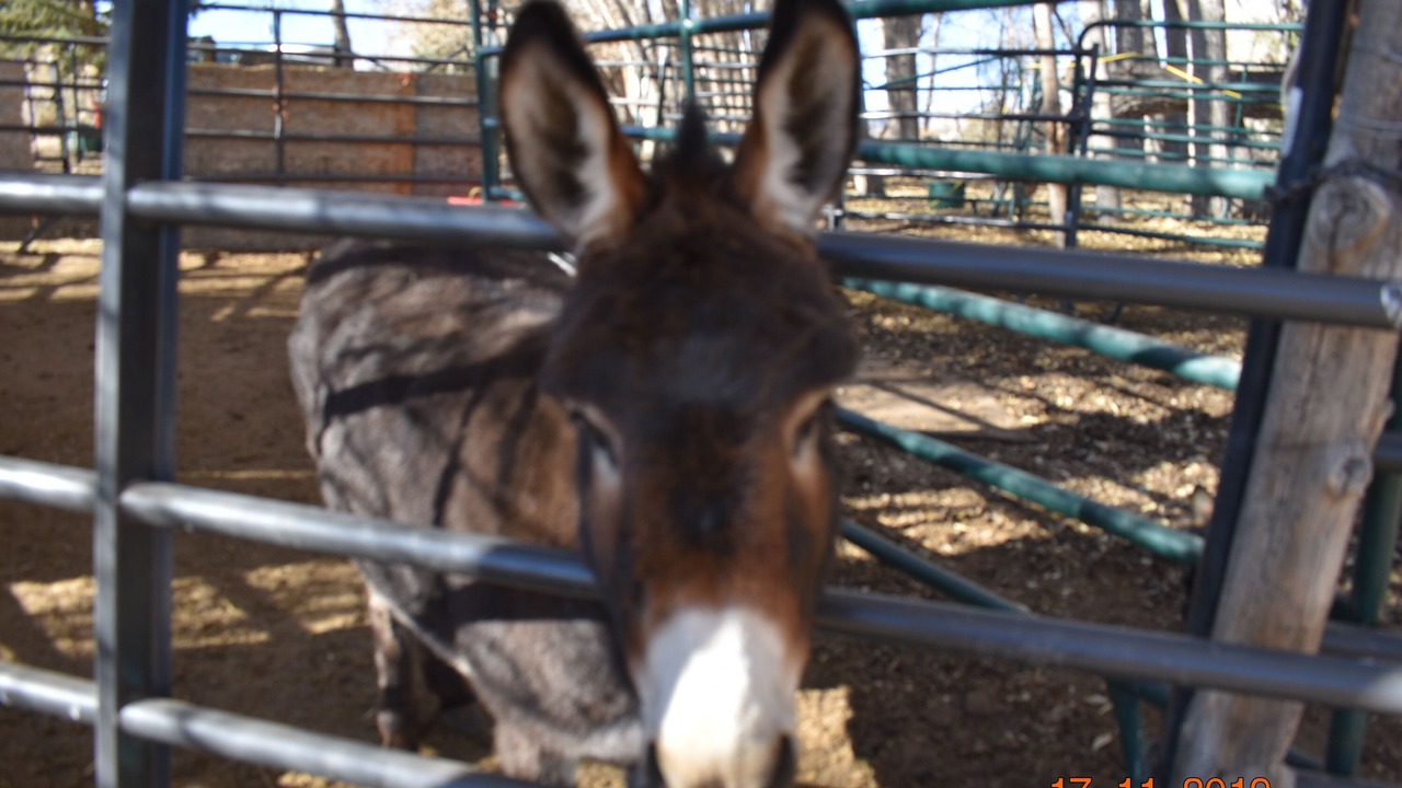 Photo of Outdoor in Salida