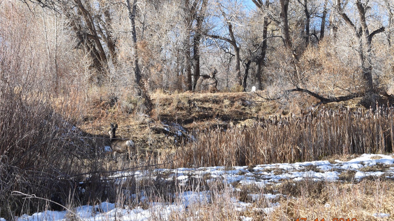 Photo of Outdoor in Salida