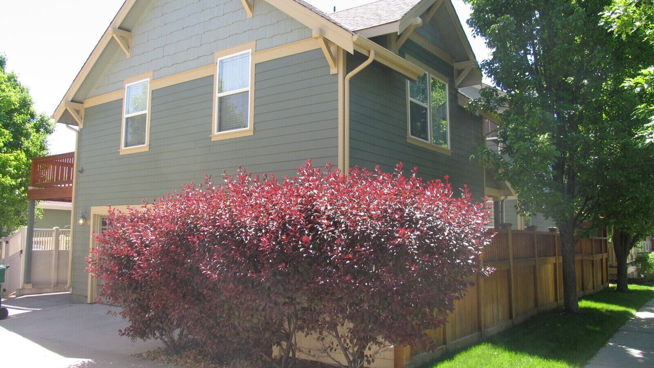 Photo of Outdoor in North Central Westminster