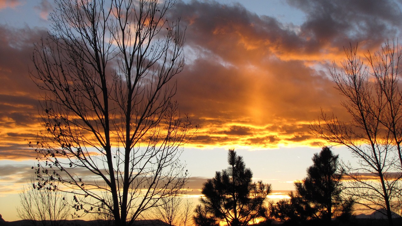 Photo of Outdoor in Mancos