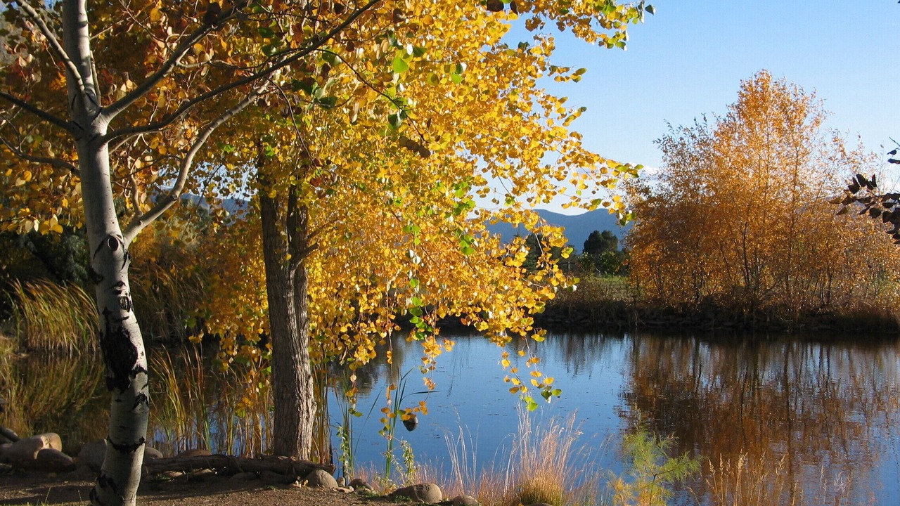 Photo of Outdoor in Mancos