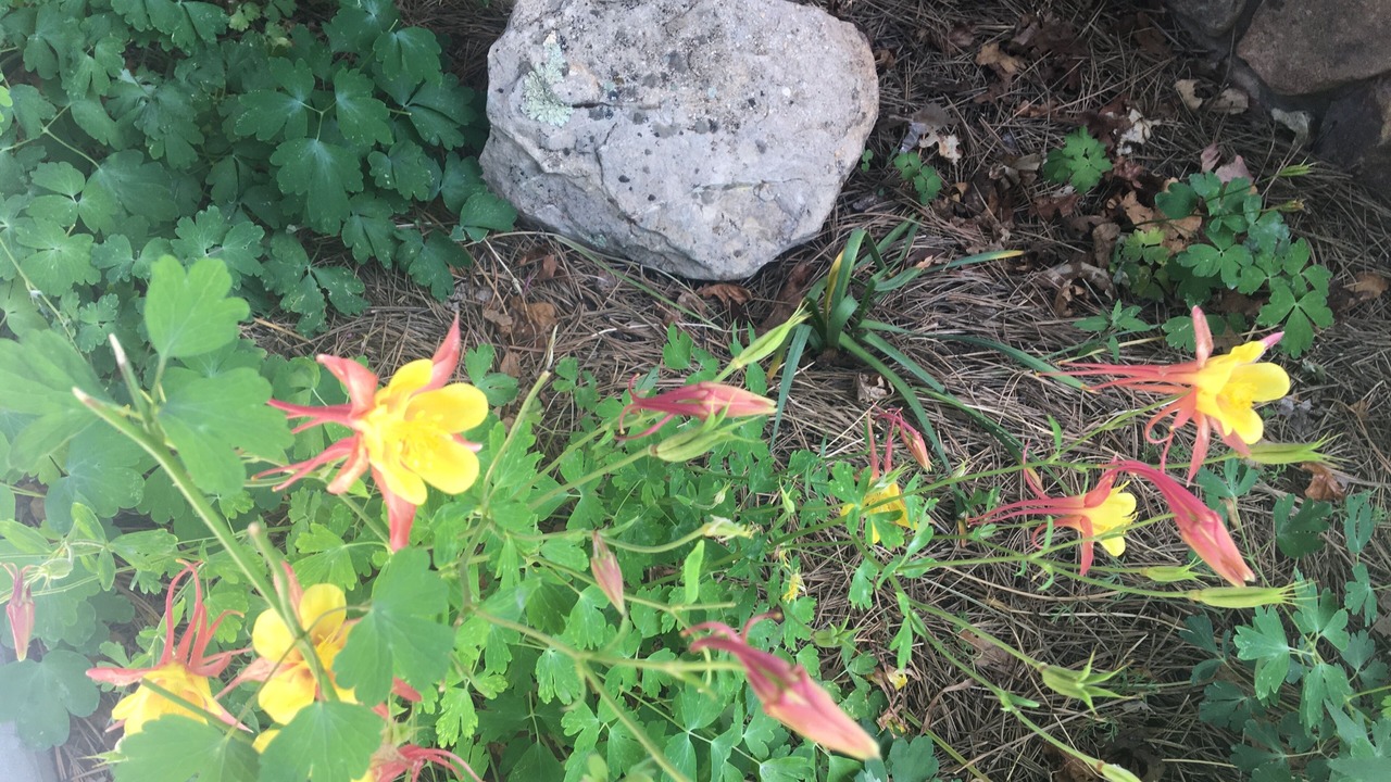 Photo of Outdoor in Durango Hills