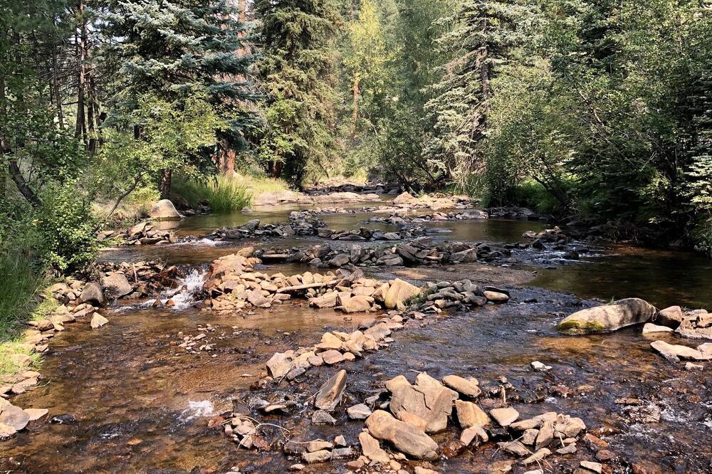 Photo of Others in Evergreen West Central