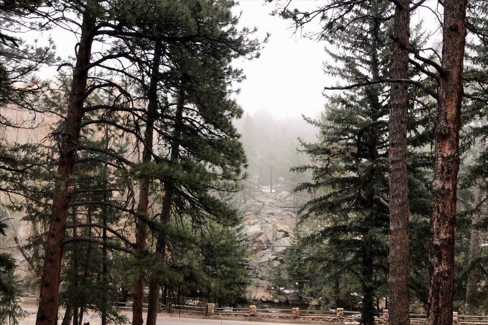 Photo of Others in Evergreen West Central