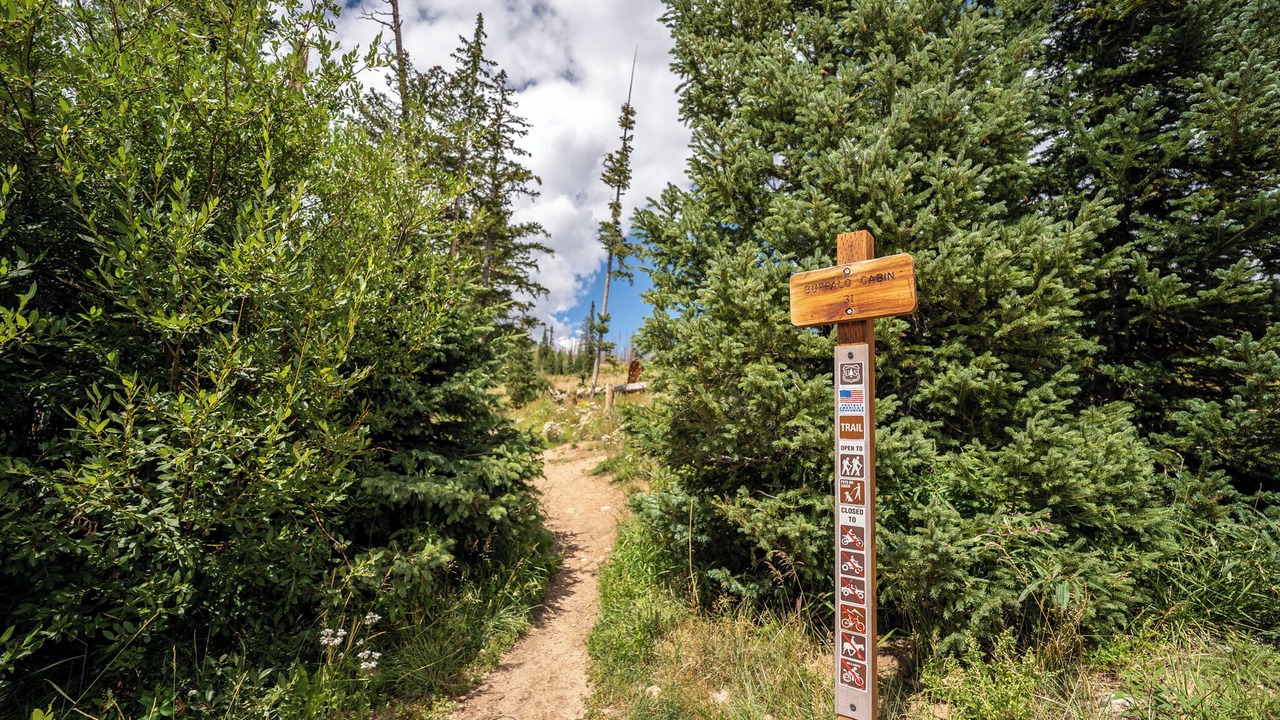 Photo of Outdoor in Wildernest