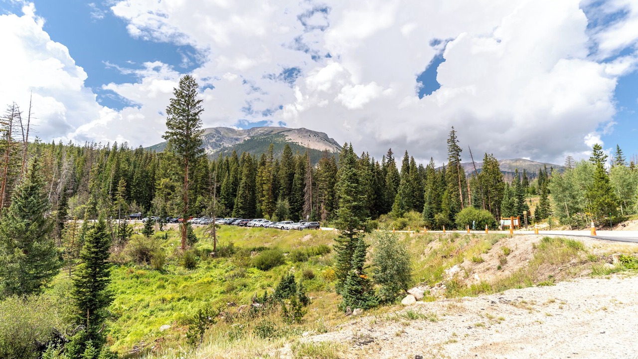 Photo of Outdoor in Wildernest