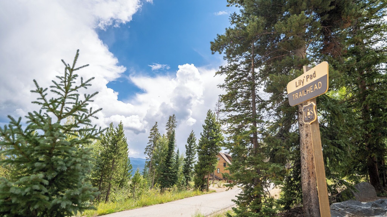 Photo of Outdoor in Wildernest