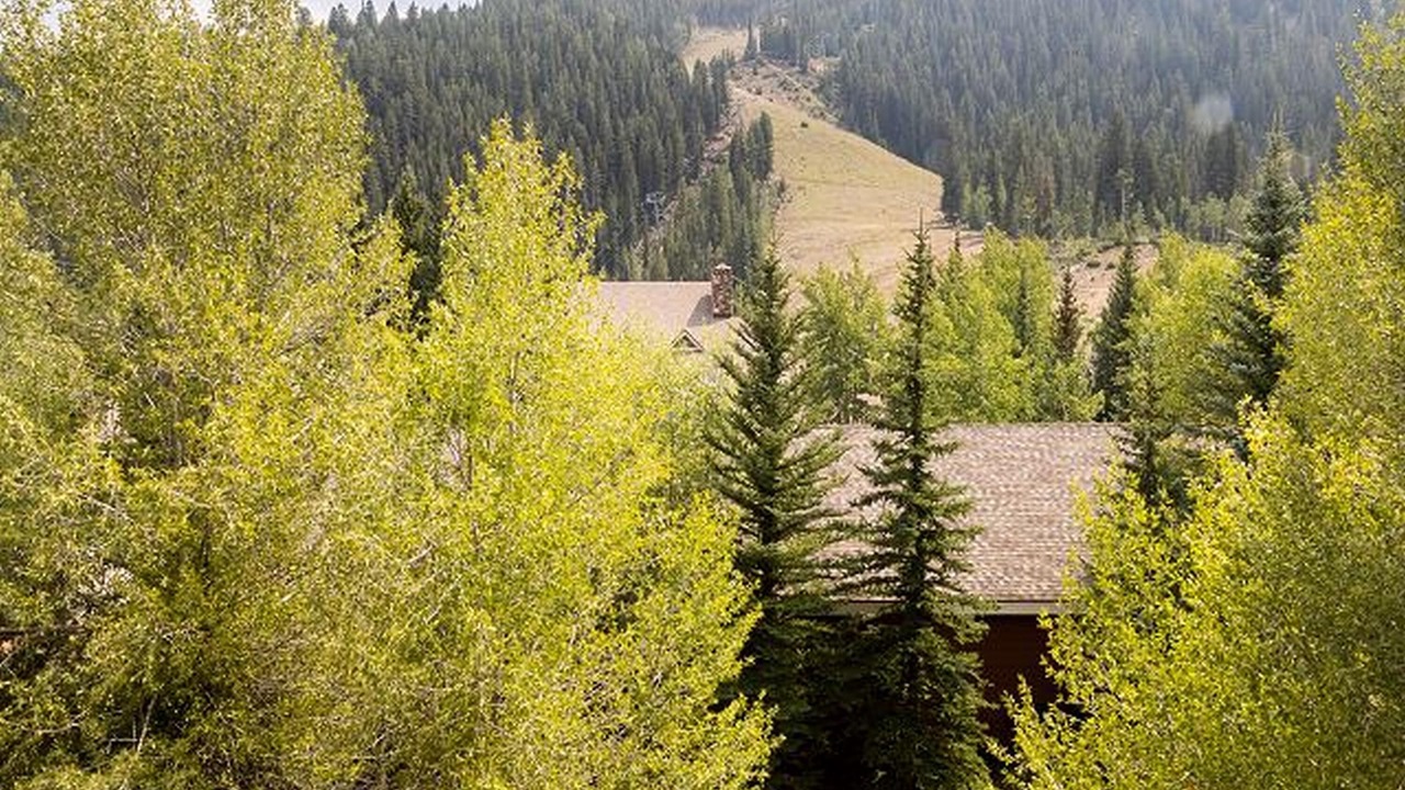 Photo of Others in Mountain House
