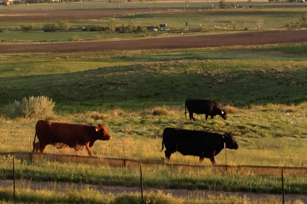 Photo of Outdoor in Broomfield