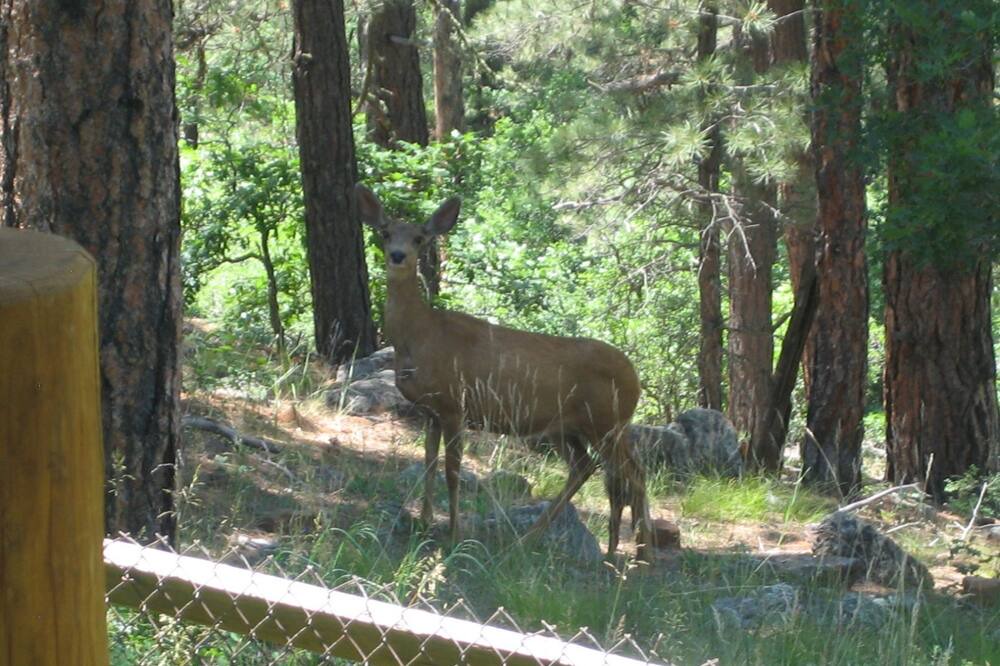 Photo of Others in Twin Creek Village