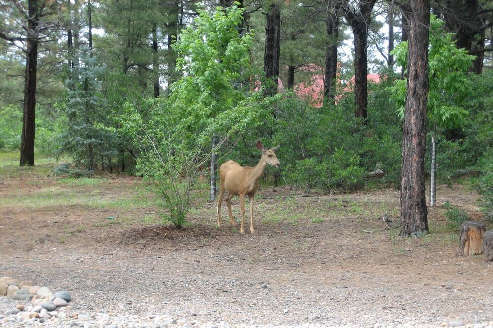 Photo of Others in Twin Creek Village