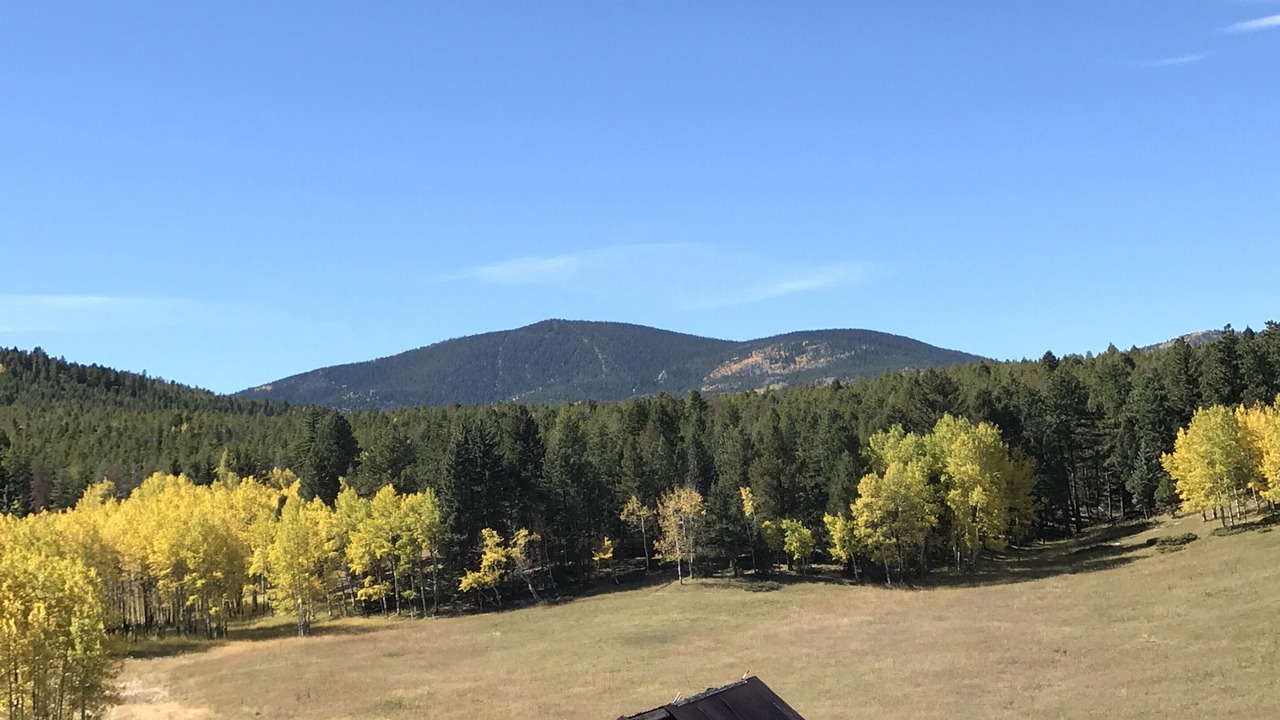 Photo of Others in Evergreen