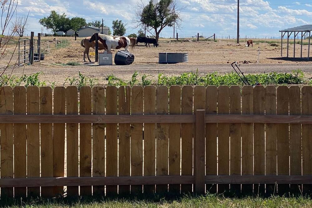 Photo of Others in Pueblo