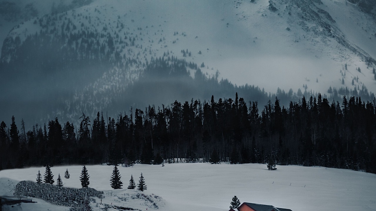 Photo of Others in Wildernest