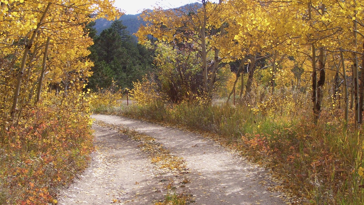 Photo of Outdoor in Allenspark