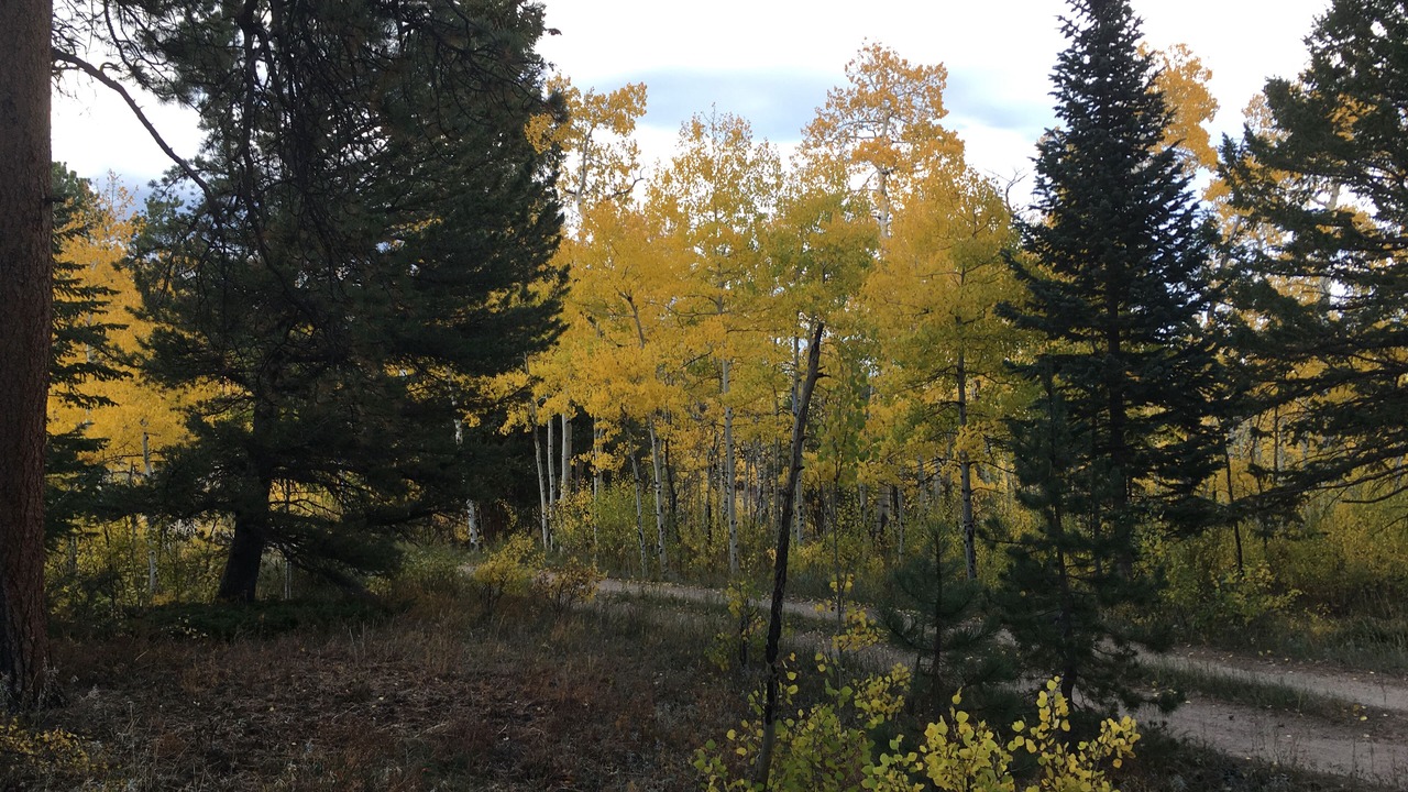 Photo of Outdoor in Allenspark