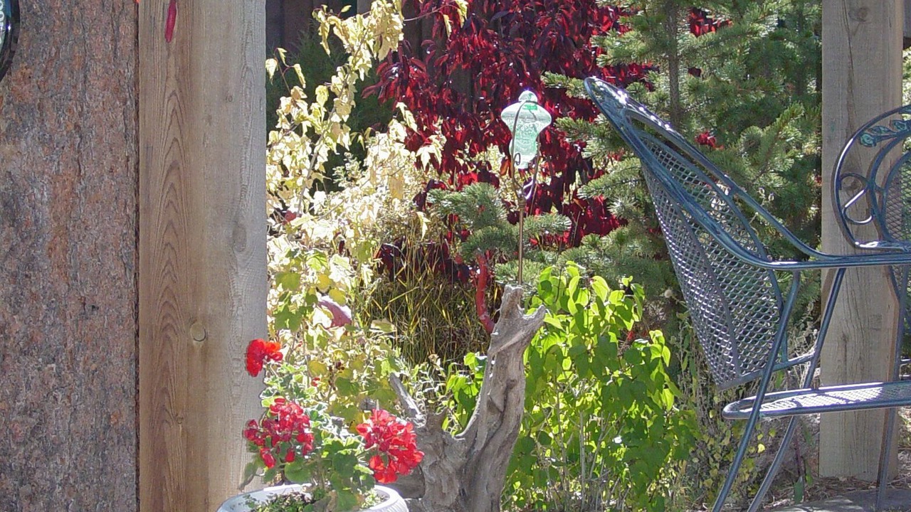 Photo of Patio Balcony in Pine